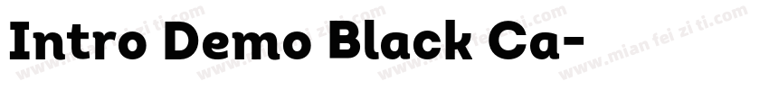 Intro Demo Black Ca字体转换